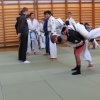Egészség és sportnap 2016